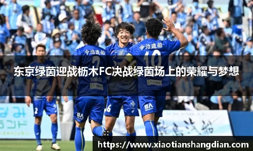 东京绿茵迎战枥木FC决战绿茵场上的荣耀与梦想