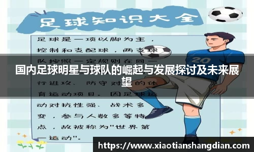 国内足球明星与球队的崛起与发展探讨及未来展望
