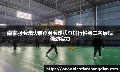 南京羽毛球队荣登羽毛球状态排行榜第三名展现强劲实力
