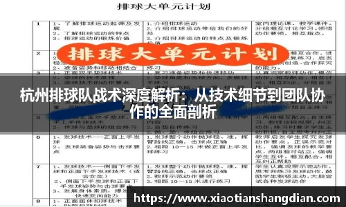 杭州排球队战术深度解析：从技术细节到团队协作的全面剖析