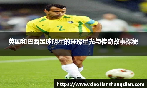 必一·体育(b-sports)