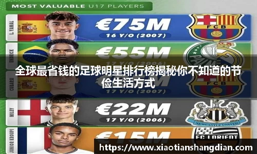 必一·体育(b-sports)