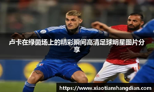 卢卡在绿茵场上的精彩瞬间高清足球明星图片分享