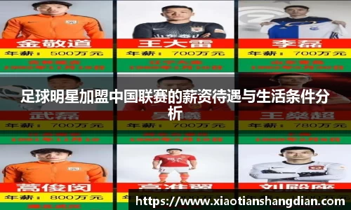 足球明星加盟中国联赛的薪资待遇与生活条件分析
