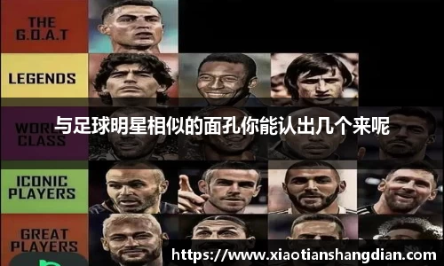 必一·体育(b-sports)