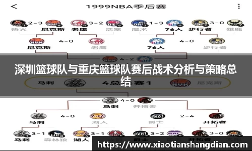 深圳篮球队与重庆篮球队赛后战术分析与策略总结